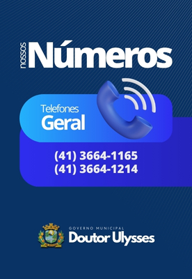 Numeros de Telefones